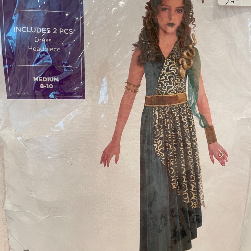 Medusa Costume